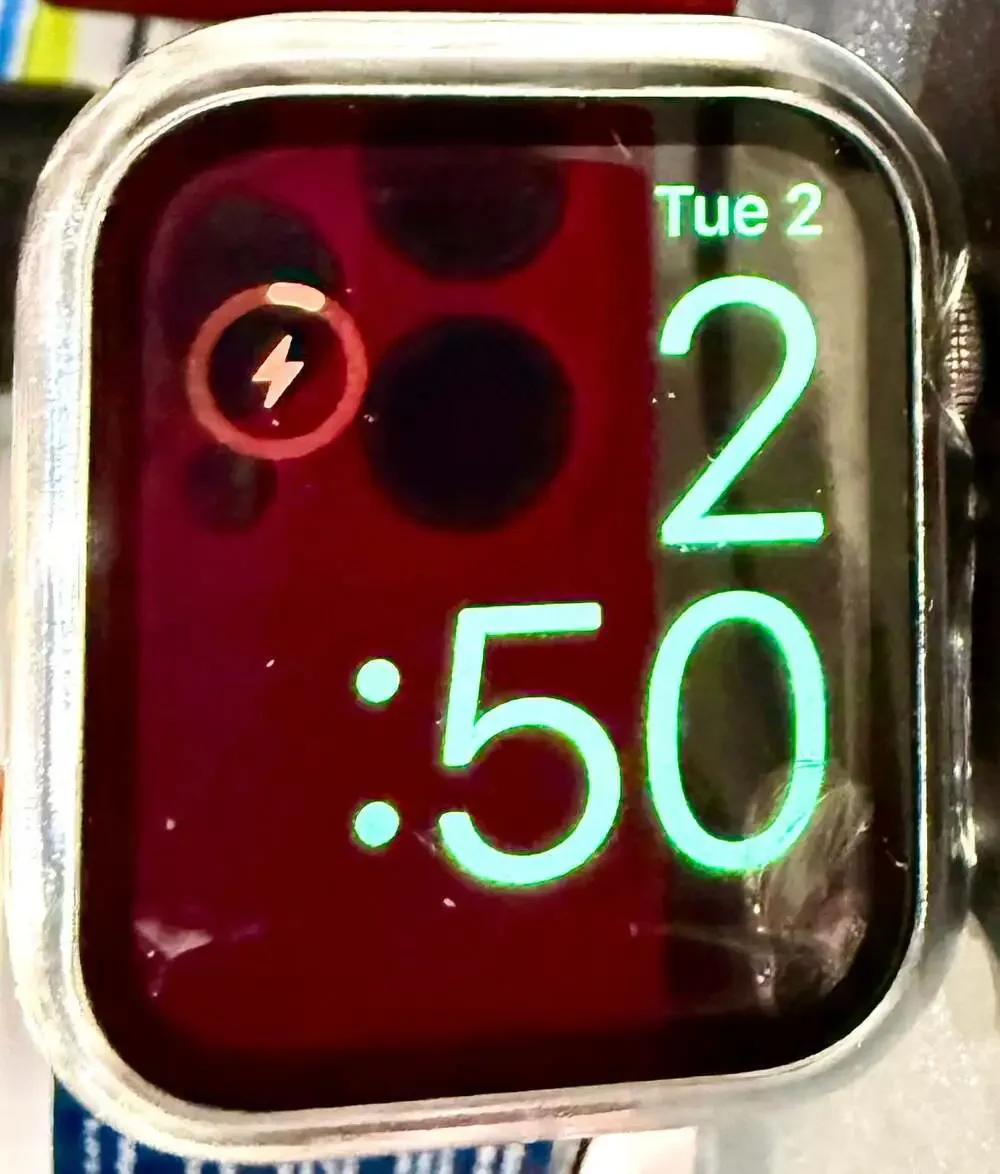 Apple Watch Series 4 Stainless Steel 44mm w/ Purple Leathr Band Note: Screen Cra